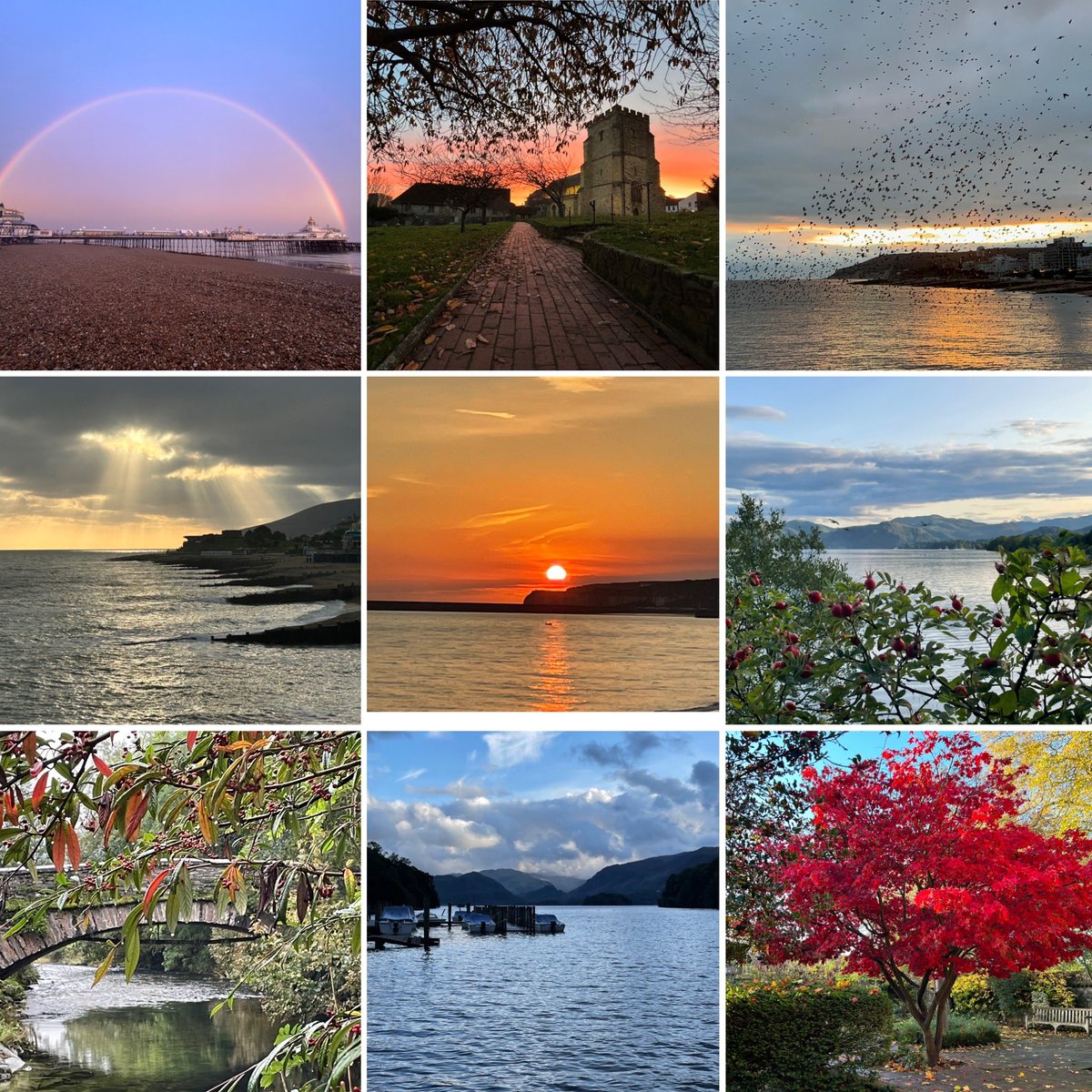 ls_clare's tweet photo. … a few of my faves I’ve taken in the last year for #EarthDay2024 https://t.co/9SD0pxSkoD