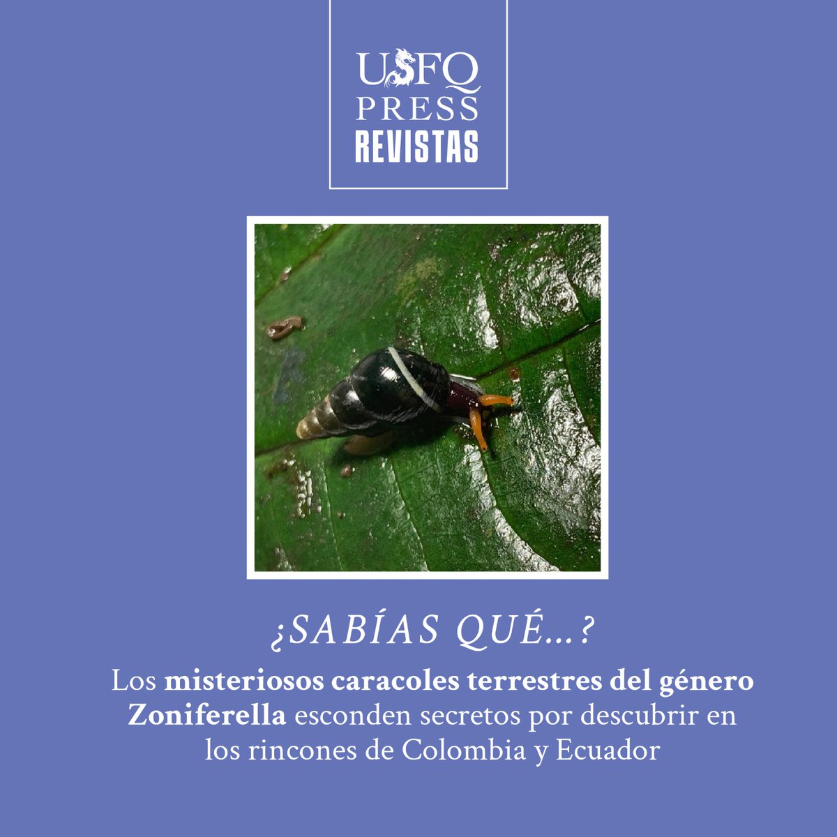 ACI Avances en Ciencias e Ingenierías tweet media