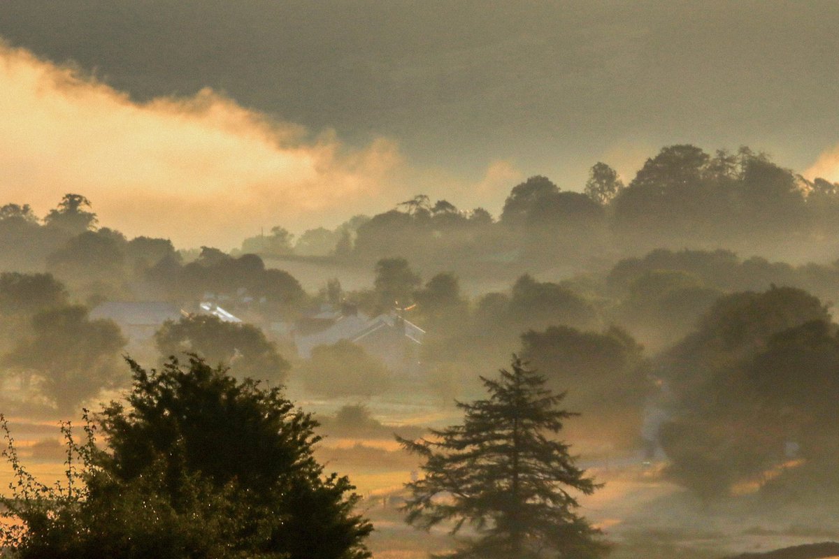 A few recent favourites from south Lakes, Cumbria 
#spring #LakeDistrict #bluebells #mist