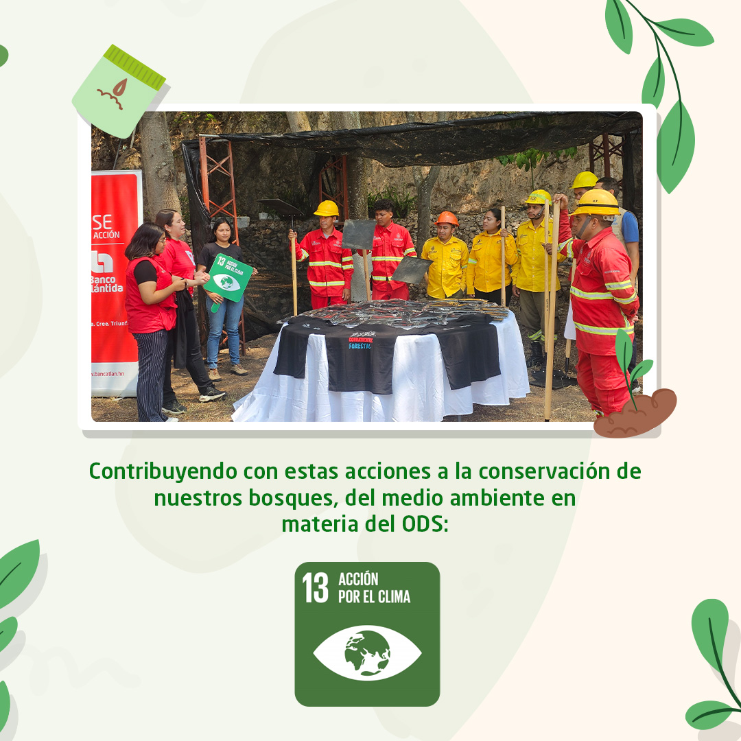 Este #DíaDeLaTierra, apoyamos a los brigadistas de @ICFHonduras entregando 300 camisetas y 7 herramientas matafuegos. 🌎 Nuestro esfuerzo fortalece la lucha contra el cambio climático y la conservación forestal.🏕️ #DíaDeLaTierra #AcciónPorElClima #RSEEnAcción #BancoAtlántida