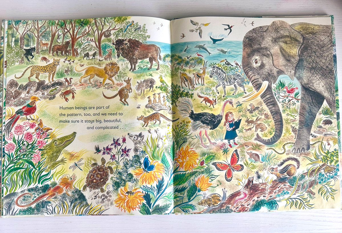 In honor of #EarthDay2024 here’s a glorious spread from Many: The Diversity of Life on Earth by @nicolakidsbooks + Emily Sutton reminding us that “human beings are part of the pattern, too, and we need to make sure it stays big, beautiful, and complicated…” 
#picturebook #kidlit