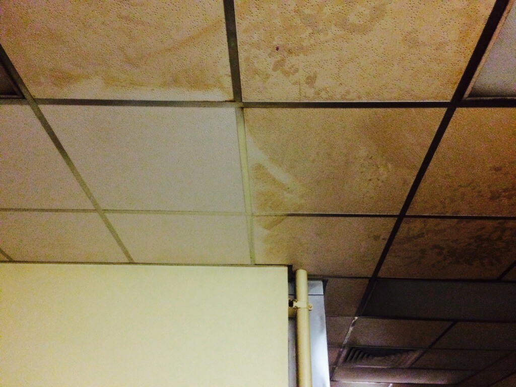 NanoConceptsNet's tweet photo. HAPPY EARTH DAY https://t.co/t4Wlh7MEeL Don't replace that dirty ceiling, clean it instead! Save the planet while you save money and time. 855-687-0976 https://t.co/a7ygpaP5K6