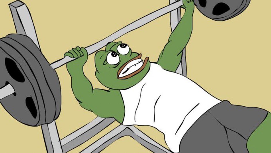 You only understand Pepe’s antifragility if you’ve held through all the bullshit since the beginning
