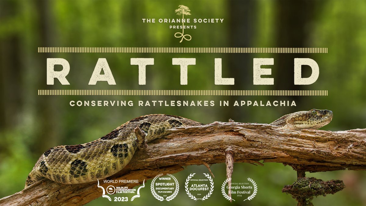 Happy Earth Day!  We're celebrating this day of environmental protection with the long-awaited release of our documentary, 'Rattled: Conserving Rattlesnakes in Appalachia.'