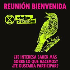 XRAsturies's tweet photo. Vente este sábado 27 con la gente maja de @biodevas  
👉 Te esperamos a las 19h en su nuevo local de Lugones

💥 No será una simple charla! Tenemos toda la tarde para tomar algo, conocernos y hasta para arreglar el mundo 🌈🌻 https://t.co/lXhEdJppf5