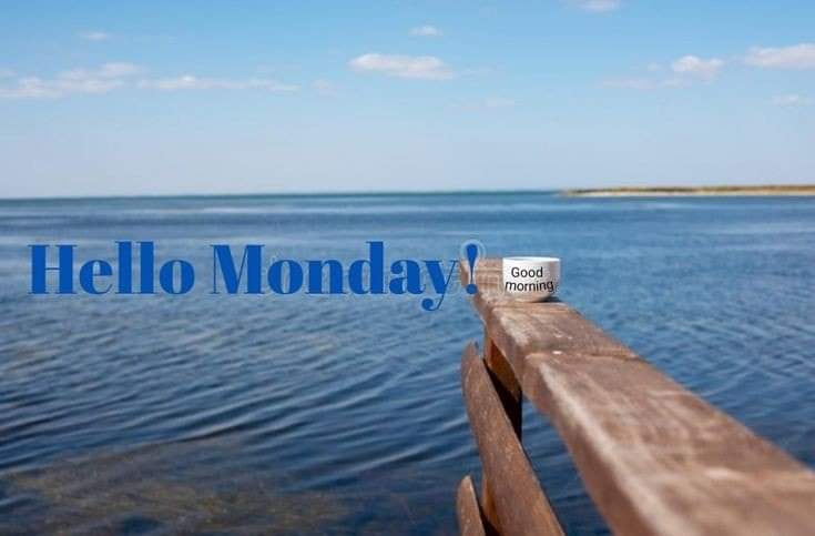 Ruthy Bell 💙🇵🇦 tweet media