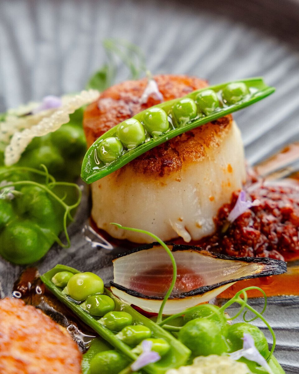 Massachusetts Sea Scallops | Peas ·  Spring Onion · N'duja · Potato · Mint