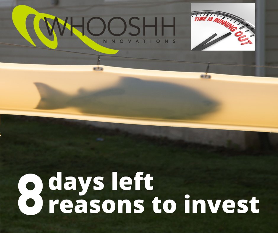 Whooshh Innovations tweet media