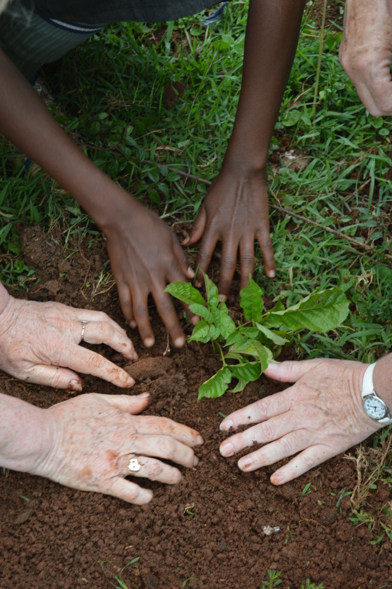 Today on #EarthDay2024 individuals from all backgrounds and walks of life unite in a global effort to advance sustainability and climate action 🌳
Let's unite to protect our planet. Every action, no matter how small, makes a difference. #Investinourplanet