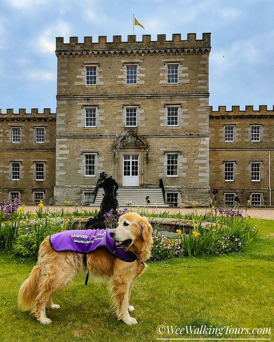 Follow our #GoldenRetrievers, angel-guide Sawyer and our wee Walter (who was in training when we visited last summer), for a splendid virtual tour of the stunning #MellerstainHouse in the #ScottishBorders -

weewalkingtours.com/post/mellersta…

Once you've finished the article, shared, and👇