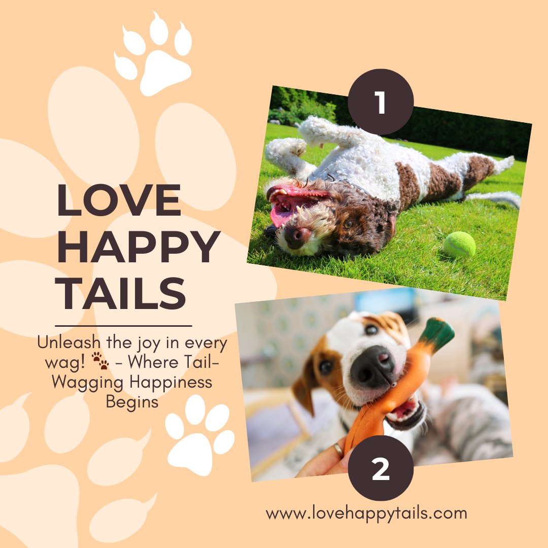 Happy pup, happy you! Shop Love Happy Tails for everything your dog needs.
#dog #dogstagram #puppy #doglover #dogoftheday #instadog #doglovers #doglife #puppylove #puppies #puppiesofinstagram #dogsofinsta #dogslife #doggo #ilovemydog #doglove #dogphotography