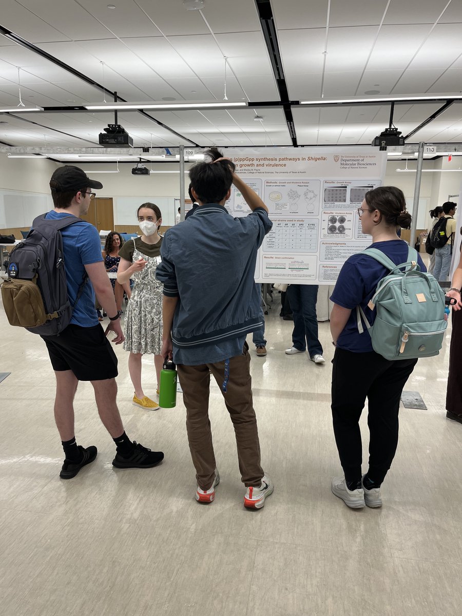 PayneLabUT's tweet photo. 📷Congratulations 👏👏 to @TexasScience and Payne lab undergraduate scholar, Maddie, on presenting her  research at last week's Tech &amp; Science Undergraduate Research Research Forum!! 👏

@ut_mbs @UTexasResearch 

 📷📷 #WhatStartsHere 🥳🥳 https://t.co/fbNHkWqa55