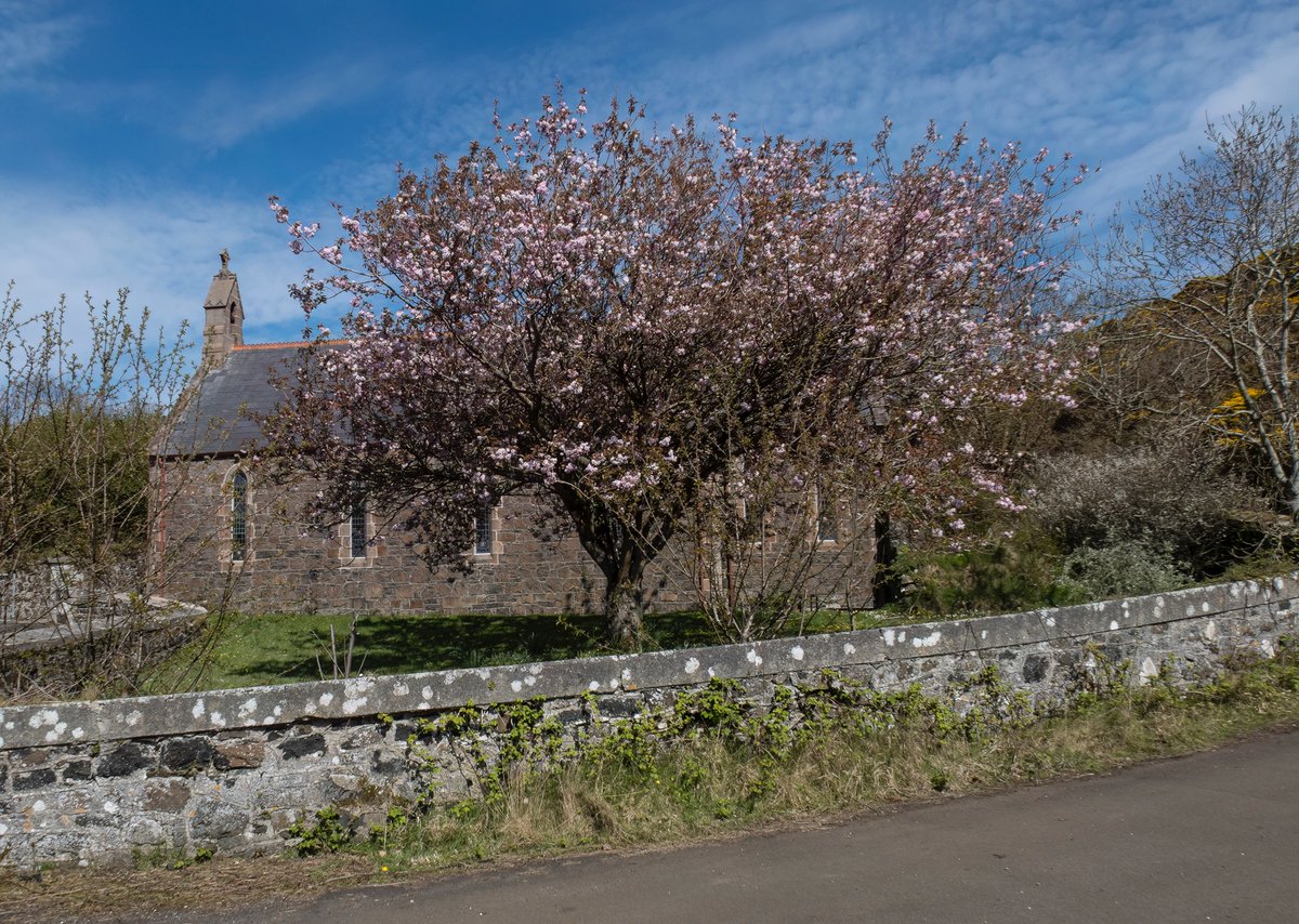 Church, Rathlin Island at perfect blossom moment. 
Sunday sun April 21st, the nicest day in 2024 so far
@ScenesOfUlster @WeatherCee @angie_weather
@barrabest @bbcniweather @lindahughesmet
@WeatherAisling @linzilima @Louise_utv @LoveBallymena @deric_tv @geoff_maskell @DiscoverNI