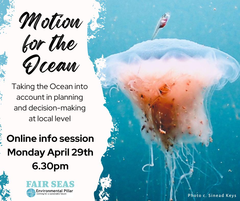 Have you heard about the Motion for the Ocean? Local Councils can commit to supporting a more ecologically healthy sea and rethink how the Ocean is taken into account in planning and decision-making at local level. Register now to learn more: tinyurl.com/4frcrn3y
