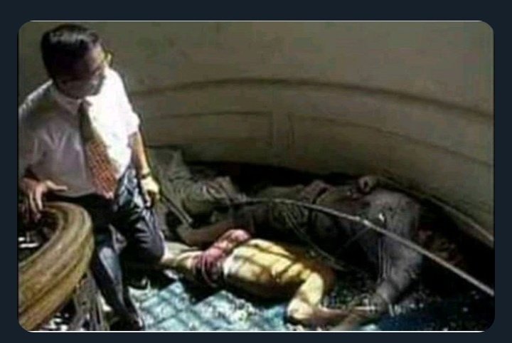 La neuronita de Sigrid tweet media