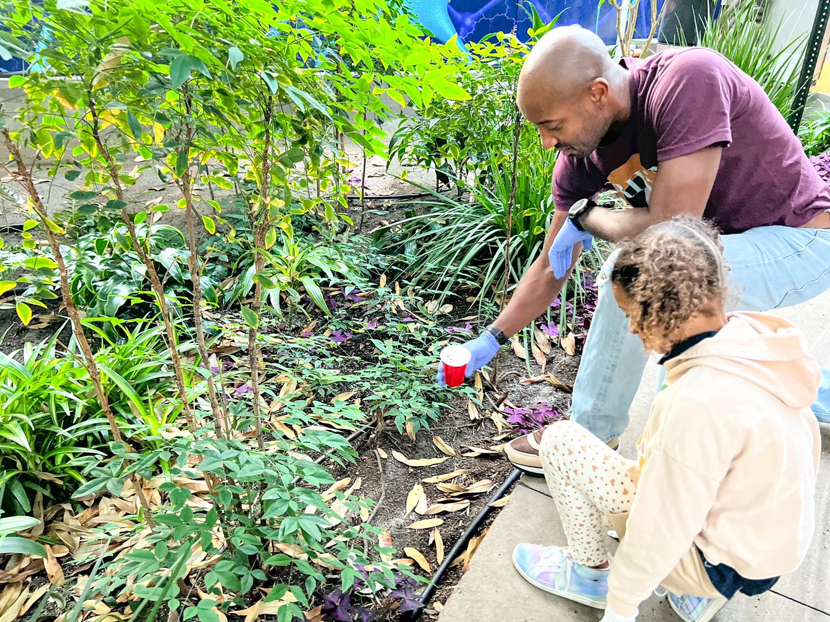 Happy #EarthDay2024! 🌎 We were buggin’ out this morning at our annual ladybug release! To help the more than 30,000 live plants + 400 trees at MOA— we annually release over 144,000 ladybugs in the @NickUniverse planter beds to act as natural pesticide + help the plants thrive!🐞