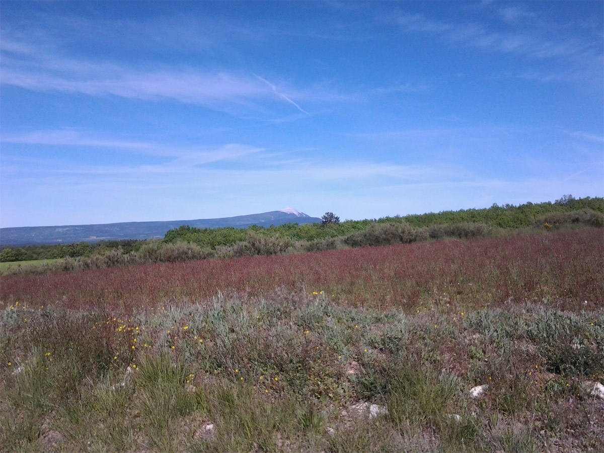Nous n'avons qu'une terre, préservons-la. 22 avril, c'est le Jour de la Terre. #JourDeLaTerre #Prouvènço #Provence #PACA #Regionsud