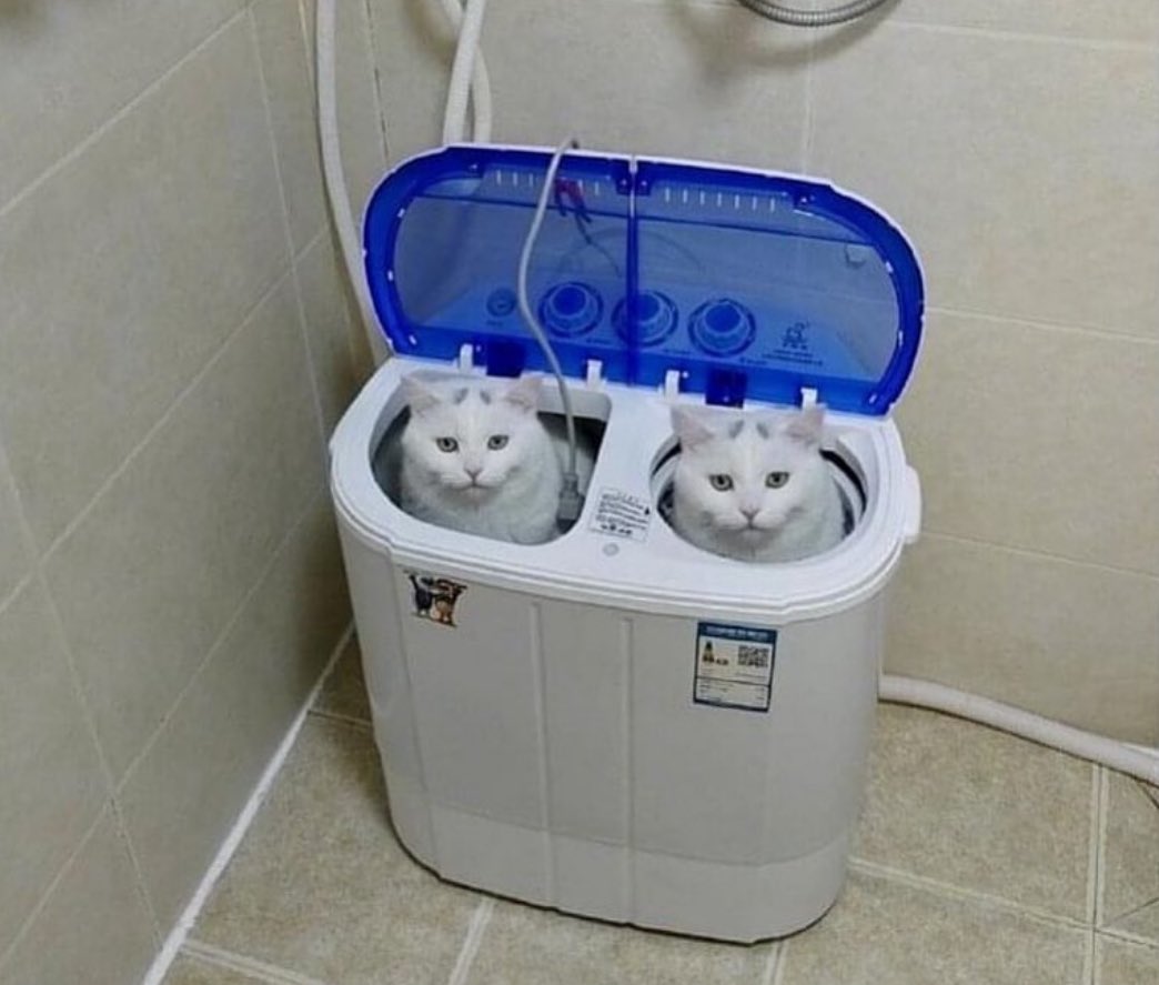 PunchingCat's tweet photo. airpods are charging https://t.co/I23kVadf15