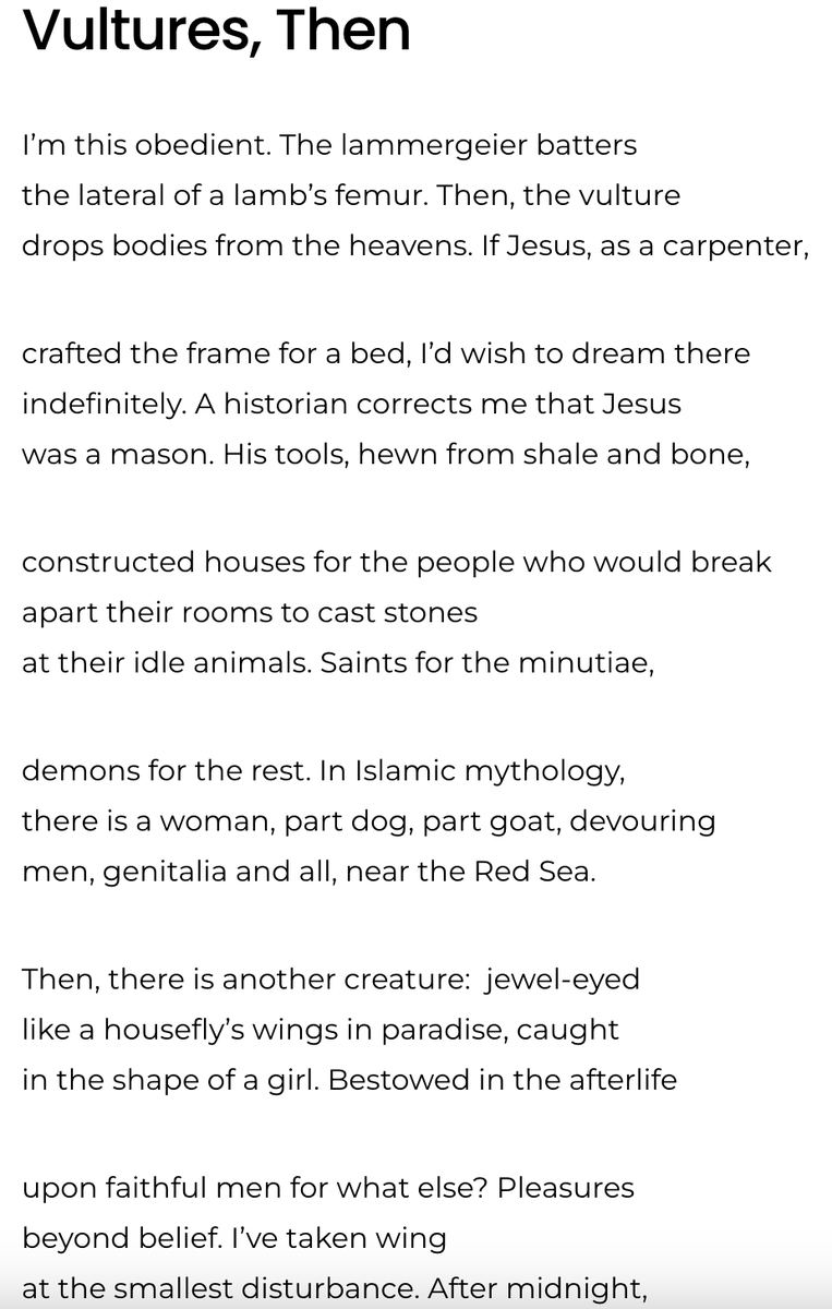 Thank you to @The_Rumpus, especially @bardsbesidebars, for publishing my poem 'Vultures, Then' for National Poetry Month! It would mean the world for you to give my poem a read! (Here is a fragment) therumpus.net/2024/04/22/nat…