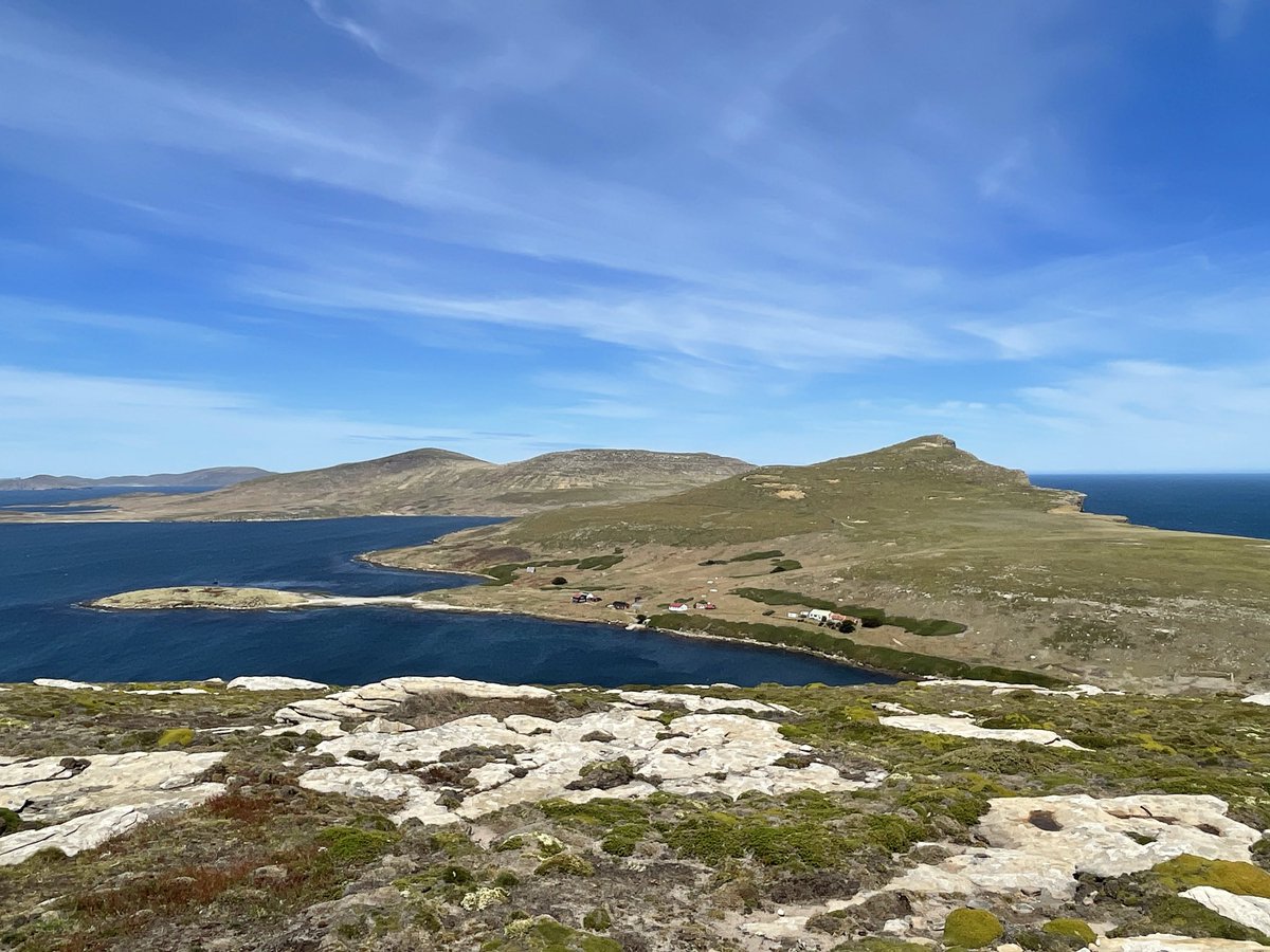 A couple of views of New Island in the Falkland Islands. #EarthDay2024