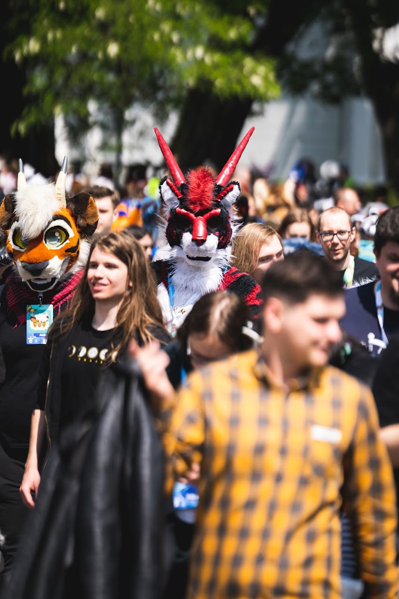 W 2023 mogliście spotkać naprawdę ciekawe koty 🙀😈 #wfw23

📸 - Bartor