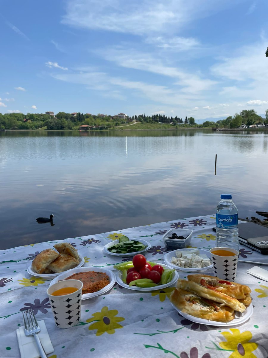 Ördeği yakalama uğruna çekilen 736293 fotoğrafdan sadece bir tanesi...