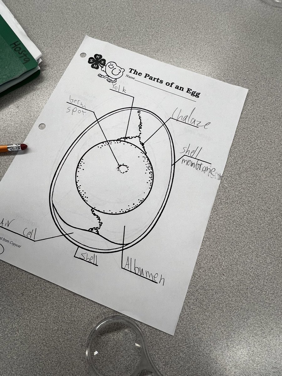 CassieSmolen tweet media