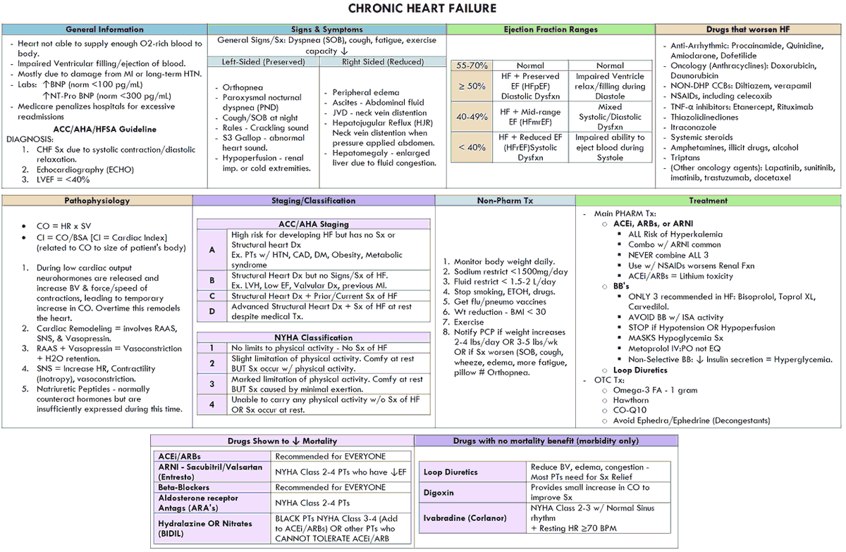 The Heart tweet media