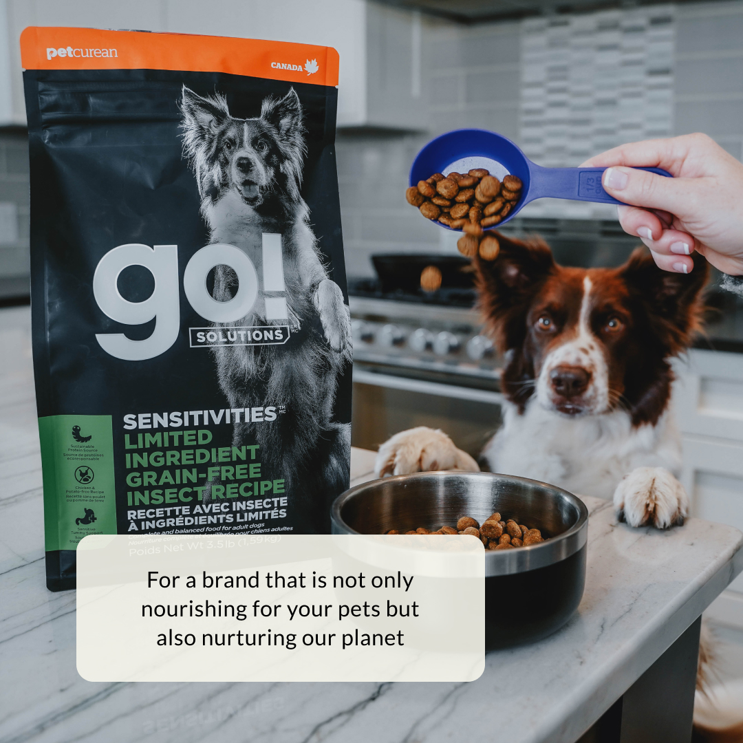 This #EarthDay we are highlighting a partner that's not only making a difference in the bellies of rescue animals but a difference in our planet 🌎️♻️🐾⁠ ⁠ Learn about our partnership with @Petcurean and their #sustainability efforts in the pet space: bit.ly/3Usq615