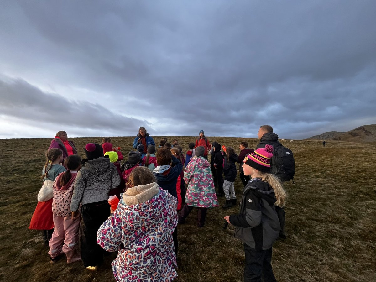 Ysgol Pencae tweet media