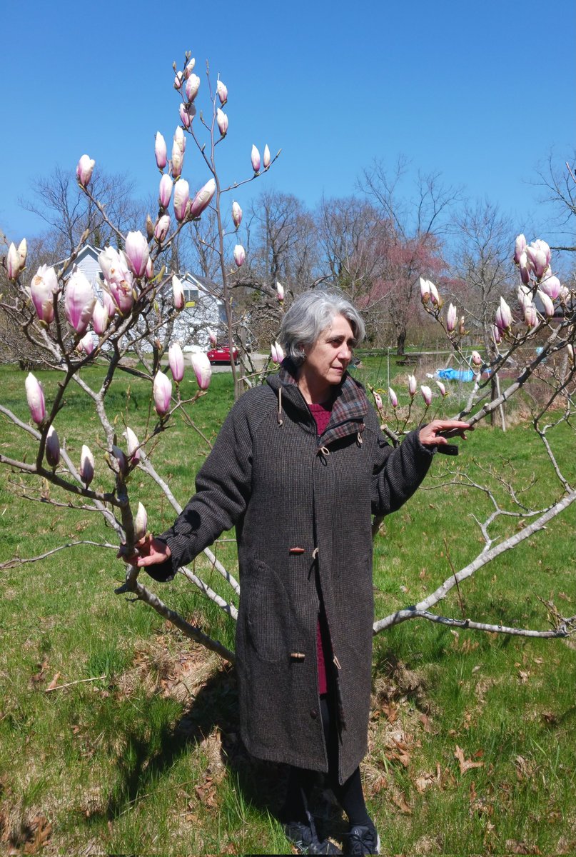 happy earth day! #poetswithflowers #magnolias