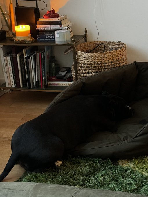 when your bully is stubborn and you tell her to go to bed https://t.co/wWv7V0gyk2