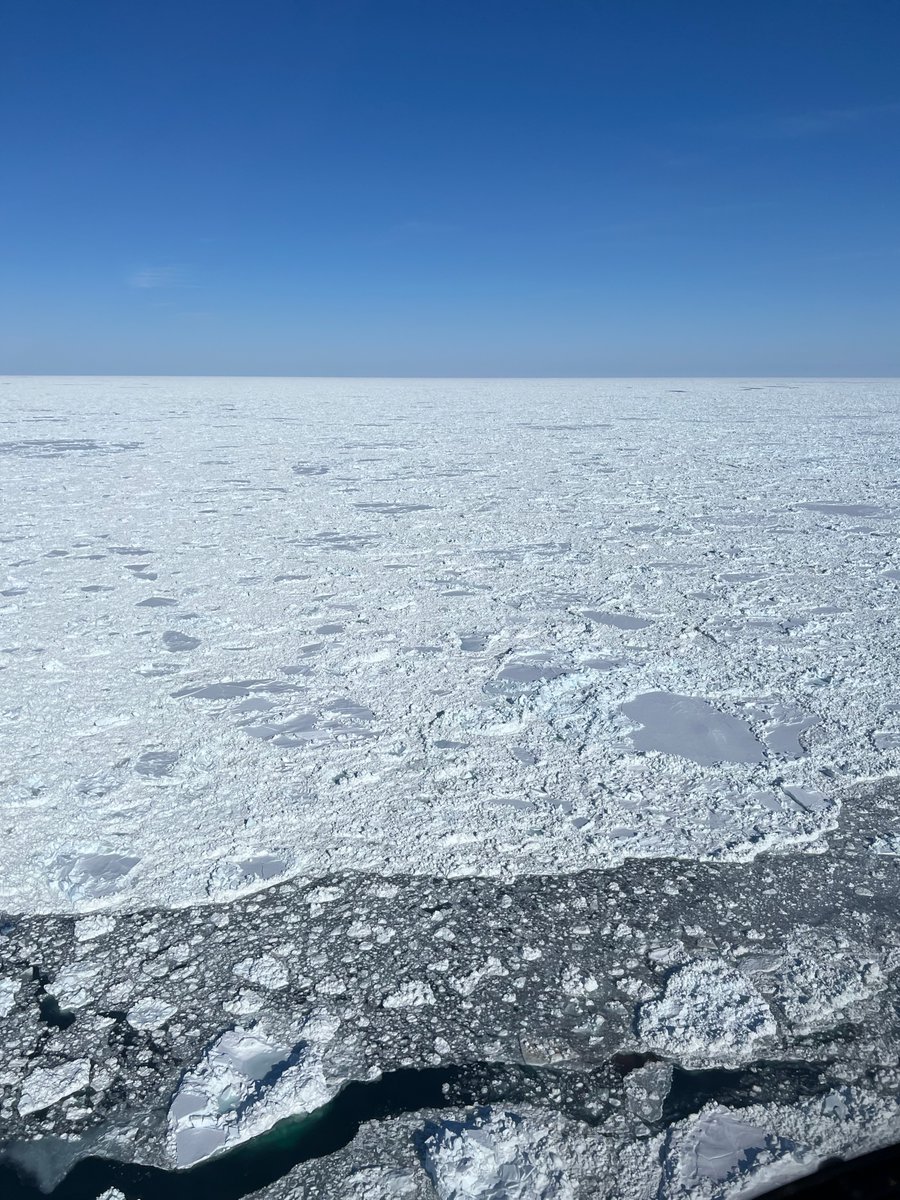 The conditions over Hudson Bay at 9:43 this morning. Within 1 hour, the faint grey band of haze turned into total overcast & snow. We were back in ahead of it. Arctic weather is something we watch very closely during polar bear field research.