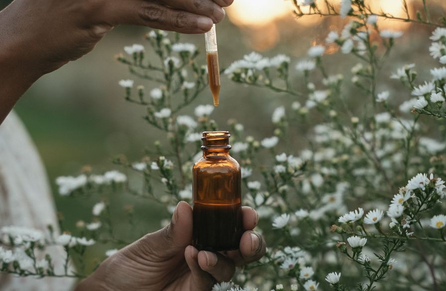 Embark on a journey into herbalism with Herbal Academy’s Tincture Making 101 Mini-Course! 🌱 Don't miss out on this early bird sale, offering special pricing until May 5th!
buff.ly/45nxugu   🎉 #HerbalAcademy #TinctureMaking101 #Herbalism #EarlyBirdSale