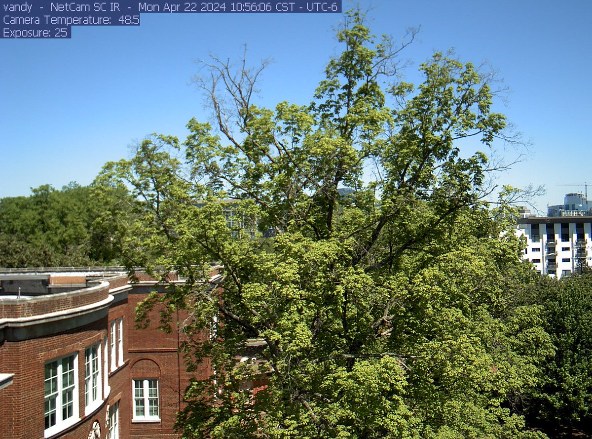 Happy #EarthDay! Observing the spring green-up tells us more than beauty; it's a call to engage and act for Earth's future. We installed @PhenoCam at @VanderbiltU to monitor tree canopy change under climate change. Spring underway! #Phenology #spring phenocam.nau.edu/webcam/sites/v…