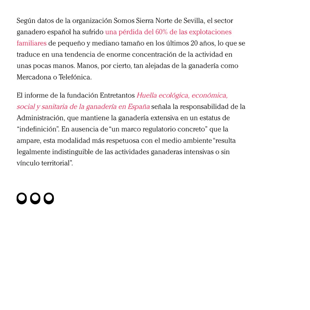 🫒Voces del sector primario plantean soluciones sostenibles y de cuidado del territorio para enfrentar los problemas del campo. Os compartimos este reportaje en @ctxt_es, de @diegodelgom  🖋️ctxt.es/es/20240401/Po… #agriculturaecologica #ganaderiaextensiva #sostenibilidad