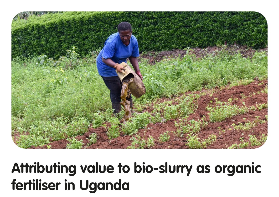 In recognition of #EarthDay, we shed the light on bio slurry, an organic fertiliser produced from a biodigester. It improves soil structure and therefore water &amp; nutrient retention with a long-term effect. Visit 👉🏾 snv.org/library-overvi… by <a href="/OFVI_ABC/">OFVI-ABC</a>  for details. #ABC Project