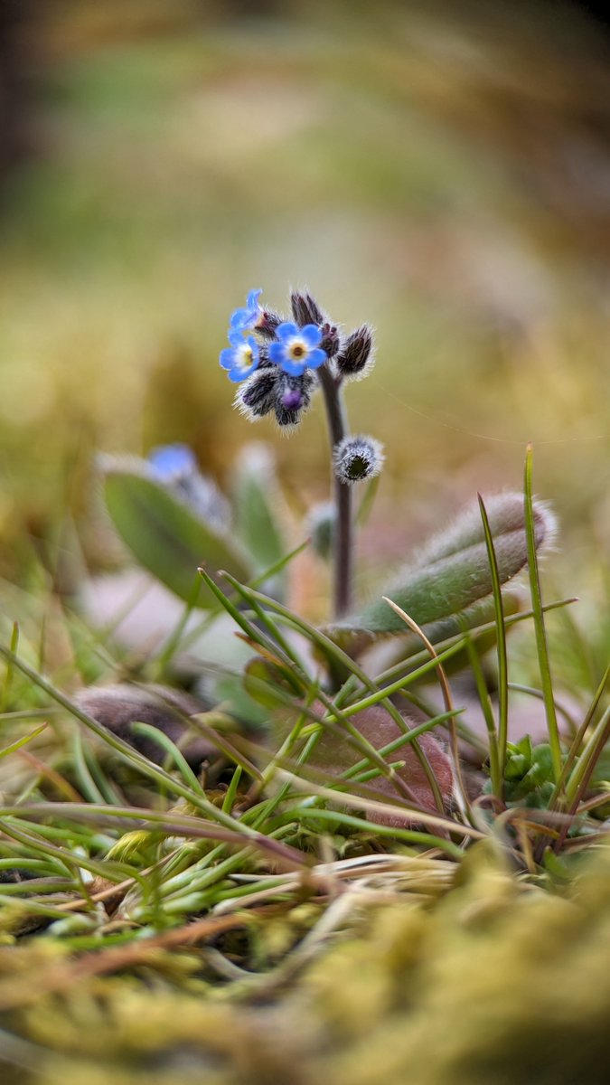 Tom Ward tweet media