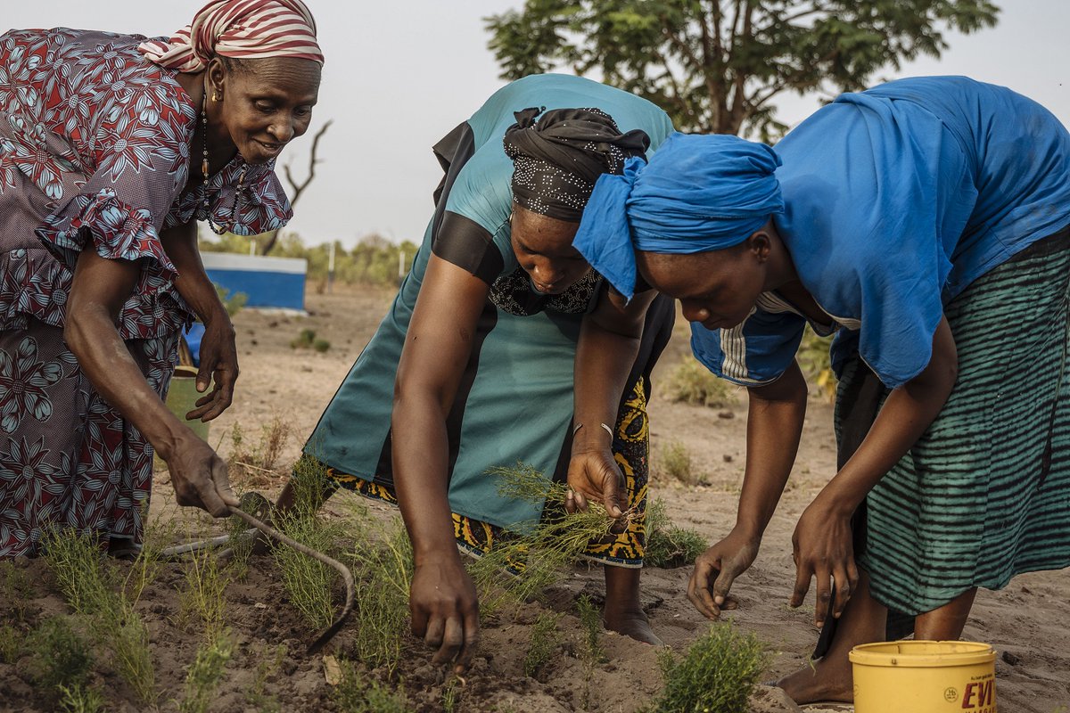 Deforestation threatens agriculture which is the main activity of Koundara in Guinea. On this #EarthDay let's support the collective of women in Koundara, who with the support of IOM, are managing to bring hope back to their community through responsible land exploitation.