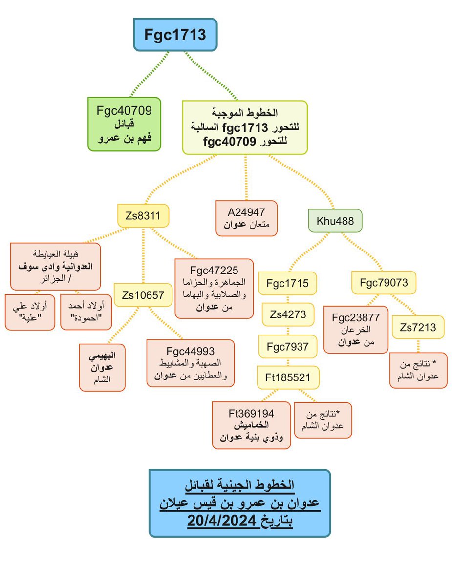 تحديث جديد للمشجرة الجينية لقبائل عدوان بن عمرو بن قيس عيلان 22 / 4 / 2024 - تم في هذا التحديث إضافة مواقع النتائج الجينية الجديدة لقبائل عدوان في سوريا - تم رسم هذه المشجرة من خلال أكثر من 65 نتيجة معلنة من صرحاء القبائل العدوانية في #السعودية #الكويت #الجزائر #سوريا - تنتشر