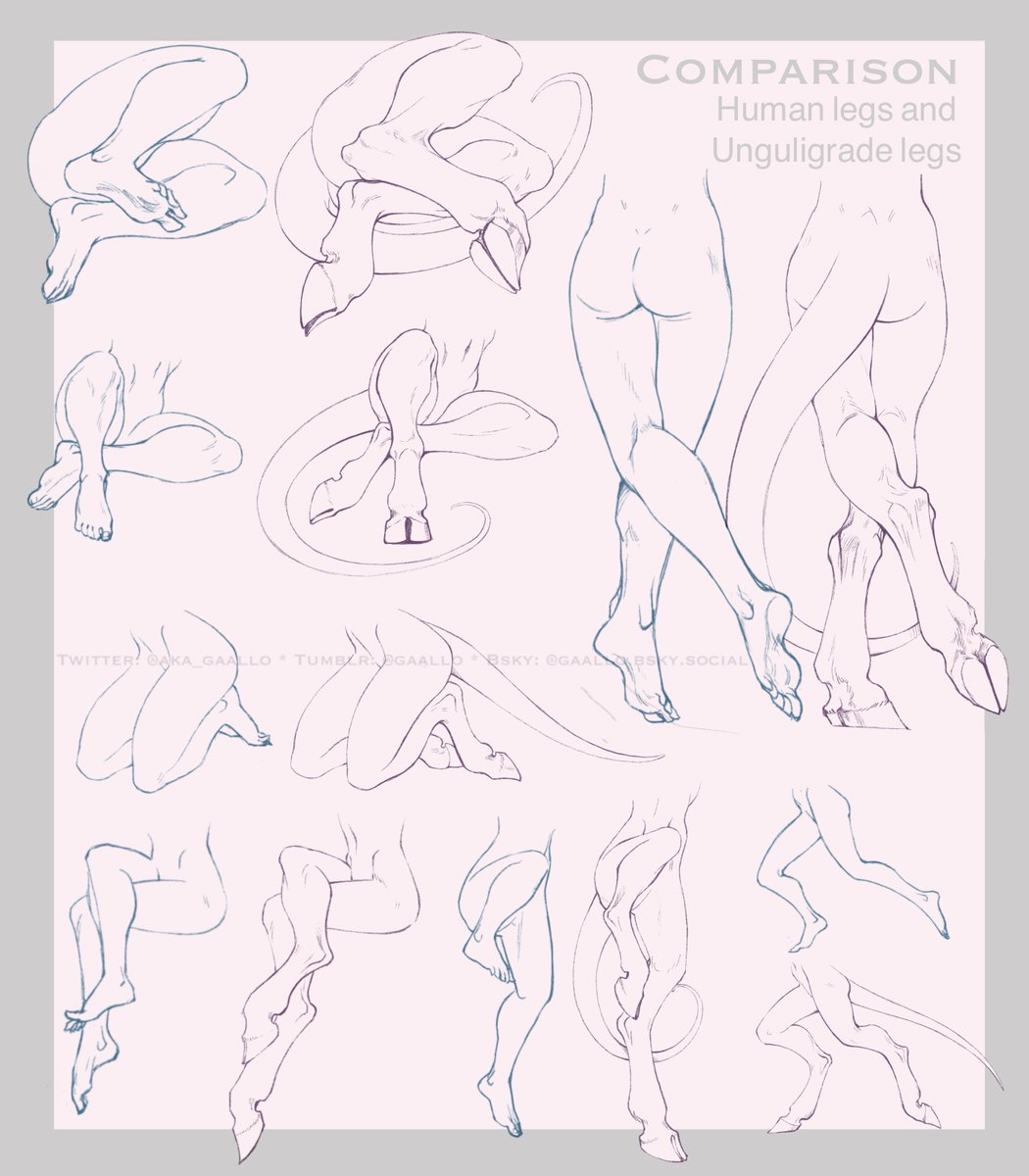 I made my first tutorial about drawing Unguligrade (hooved) legs of fantasy races, in comparison with human legs. Hope you find it useful! 💚