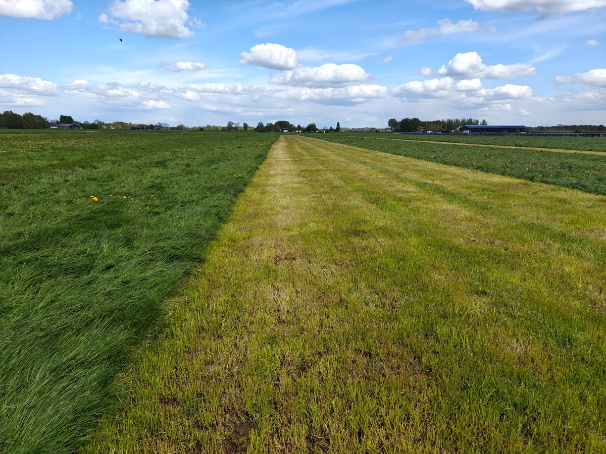 Maarten van Beek tweet media