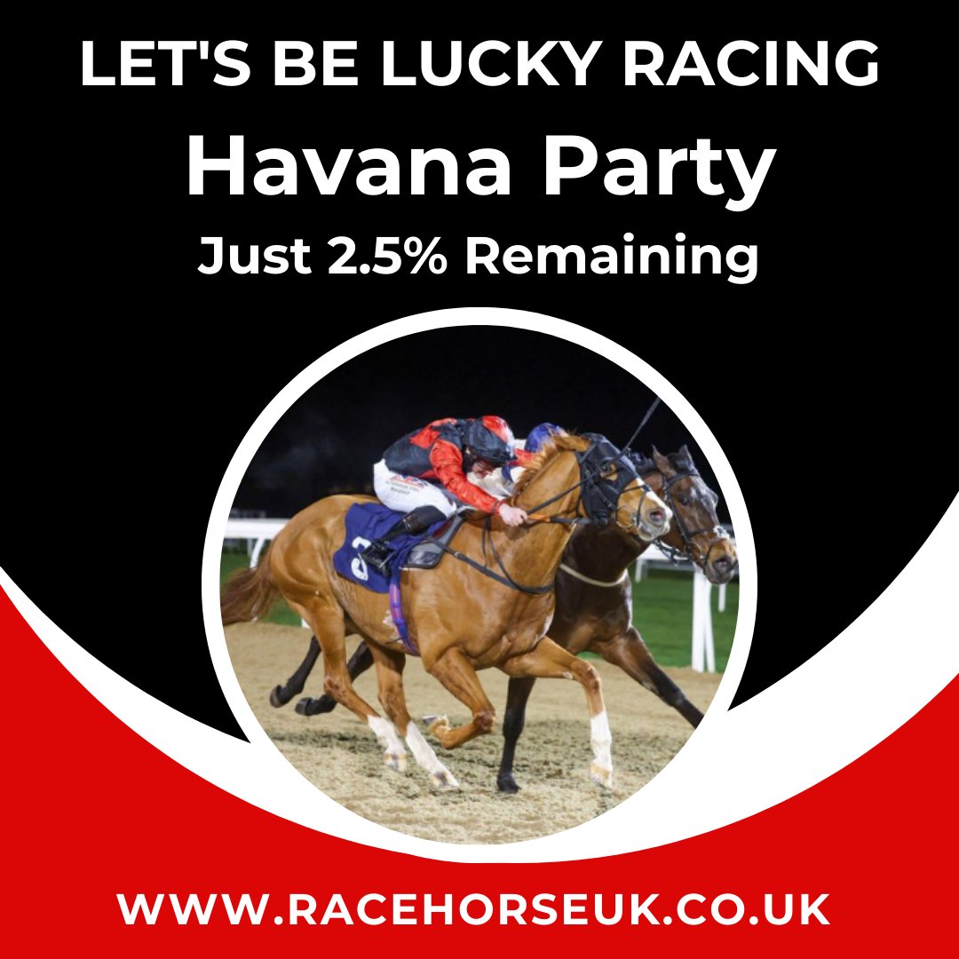 There is still time to get involved, but be quick. Only 2.5% remain!⚡
HAVANA PARTY is a 6yo multiple-winning gelding being offered by @LBL_racing and trained by @jardineracing
Visit racehorseuk.co.uk/horse-detail/?… #horseracing  #racehorse  #racehorseownership  #racehorsesyndicate