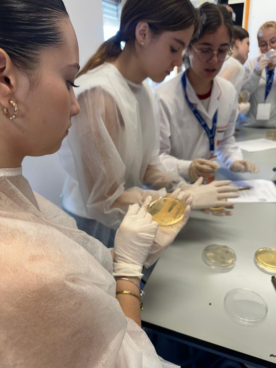 MicroMundo_IUCS's tweet image. 👏On this Earth Day, we had the 3rd session of MicroMundo where we observed the cultural growth of our soils - we performed antibiosis assay and are looking forward to the results! 🦠
@Cespu_Ensino @TOXRUNIUCS
