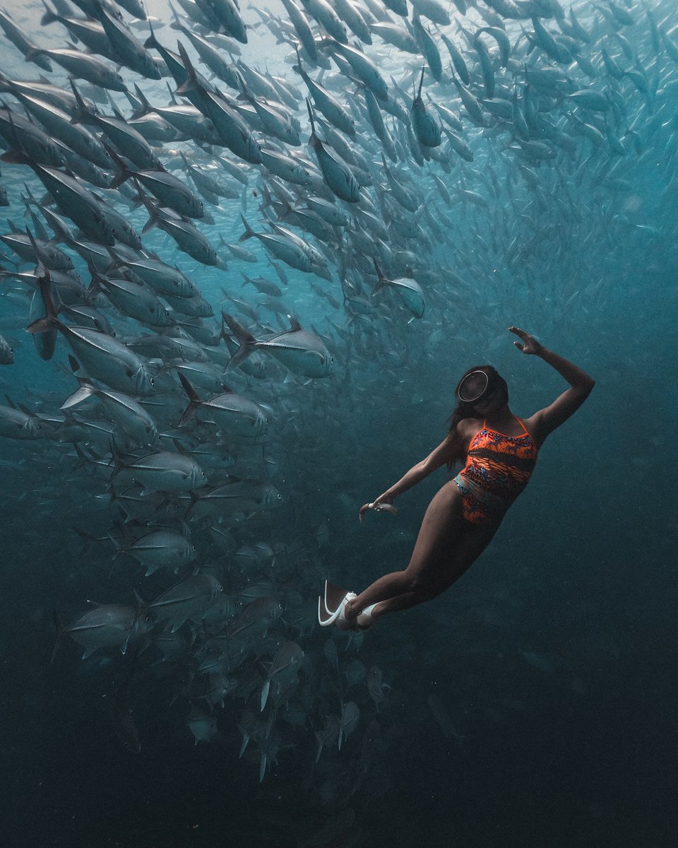 Go where the wild things are. . . . . . #freediving #freedive #freediverlife #underwater #underwaterphotography #blueworld #sonya7iii