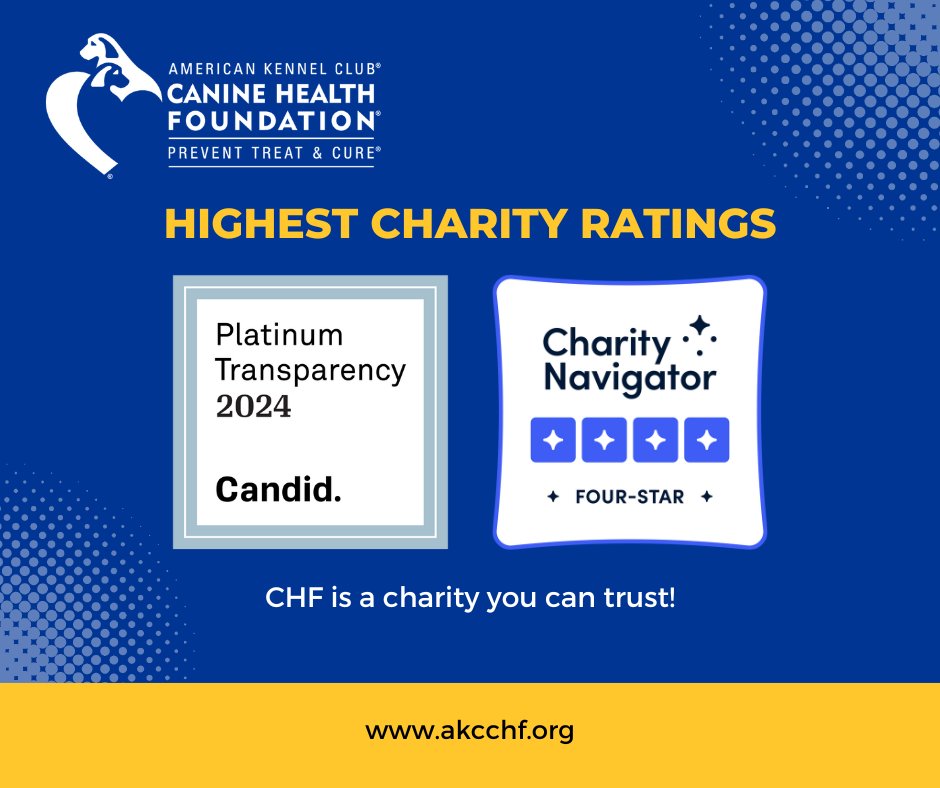 When you donate to the AKC Canine Health Foundation, you can trust that your dollars go directly to health research studies that benefit ALL dogs. Whatever your capacity to give, there is a way for you to help dogs. Give now at akcchf.org/how-to-help/ot…. #CanineHealthResearch
