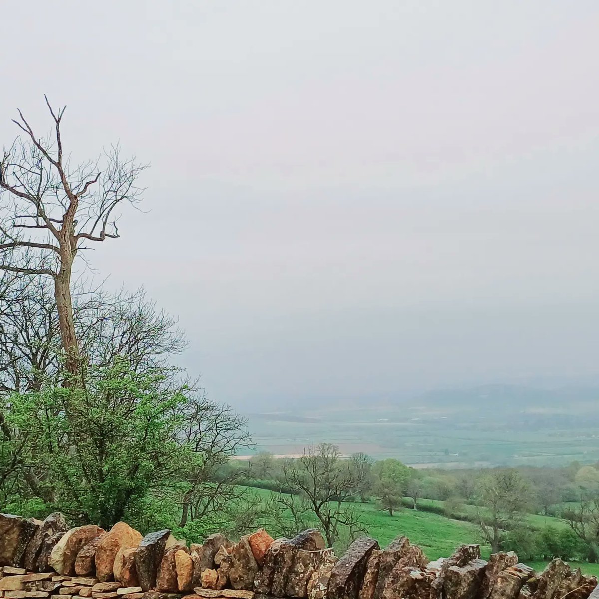 Cotswoldway,  day 2
Wood Stanway - Cleeve Hill , km 20.75
È  piovuto tutto il giorno, ho perso la via diverse volte, sono caduta con il culo nel fango e mi ha rincorso un cavallo.
Ah, ho anche 2 vesciche. I calzini antivesciche hanno funzionato benissimo.
Comunque ,è andata bene.