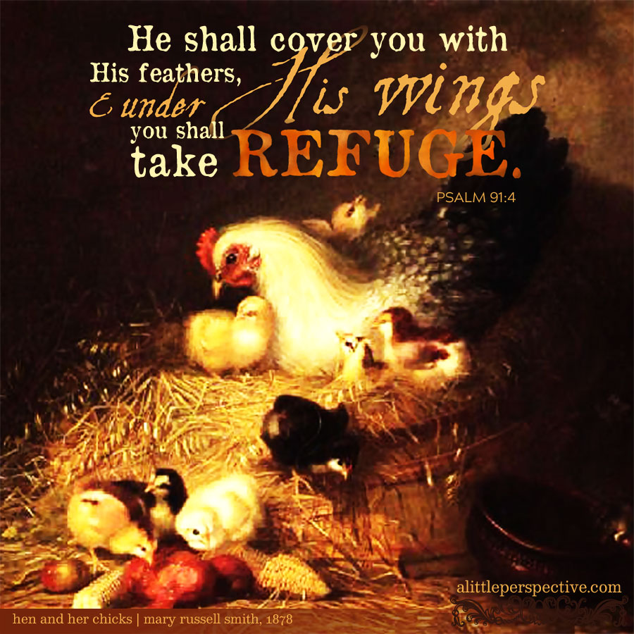 He shall cover you with His feathers, & under His wings you shall take refuge; - Psalm 91:4a (NKJV)