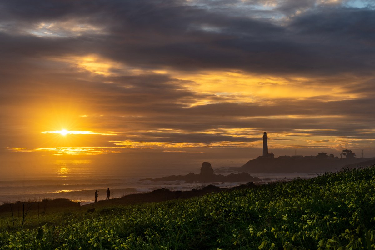 jobyaviation's tweet photo. On Earth Day each year, we reflect on the awe-inspiring beauty of our California home. We draw inspiration from the unique and wondrous life that surrounds us, from the Monarch butterfly to the towering redwoods.

With a renewed sense of purpose, we continue our work to accelerate the decarbonization of flight.

(📸: @EricAdams321)