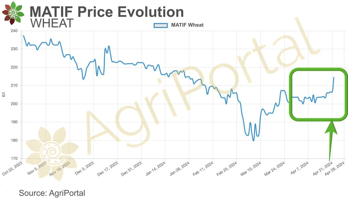 🌾 #Wheat Watch Alert! #Matif wheat skyrocketed🚀 by over 4️⃣％ today, capturing its biggest surge in months❕
✅ A momentous day for #traders! 
What's driving the spike? 📈 
Stay tuned: twtr.to/SZnHH

#CommodityMarkets #TradingTrends #MarketInsights